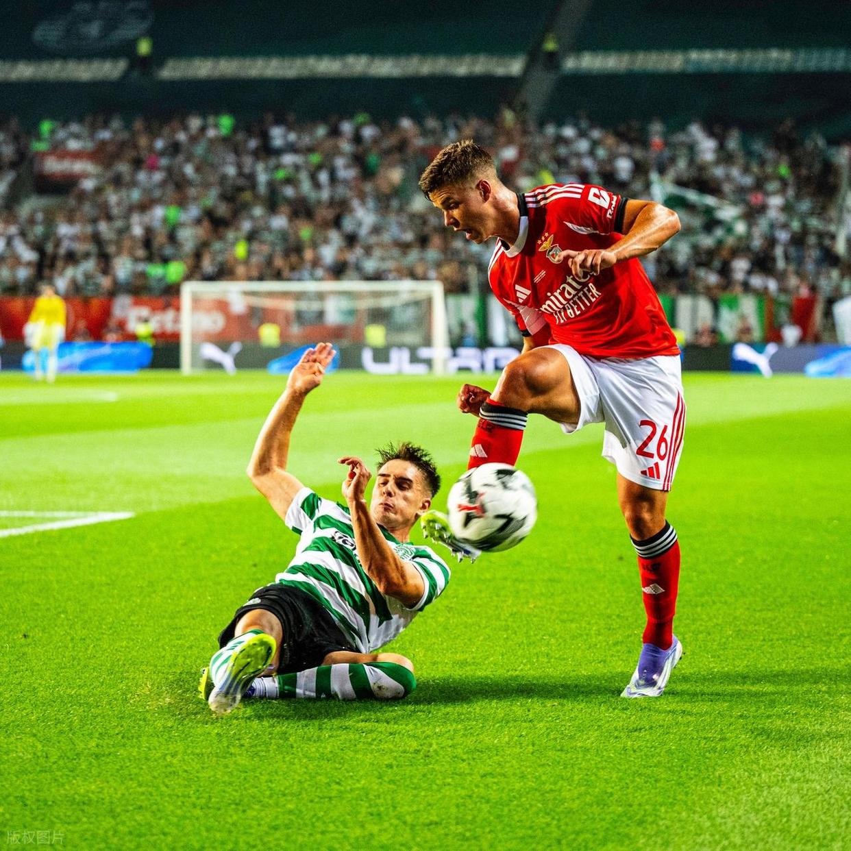 包含赛地聚焦——葡超赛前热度飙升；洛杉矶湖人状态回暖；话题不断；身体对抗强度拉满的词条